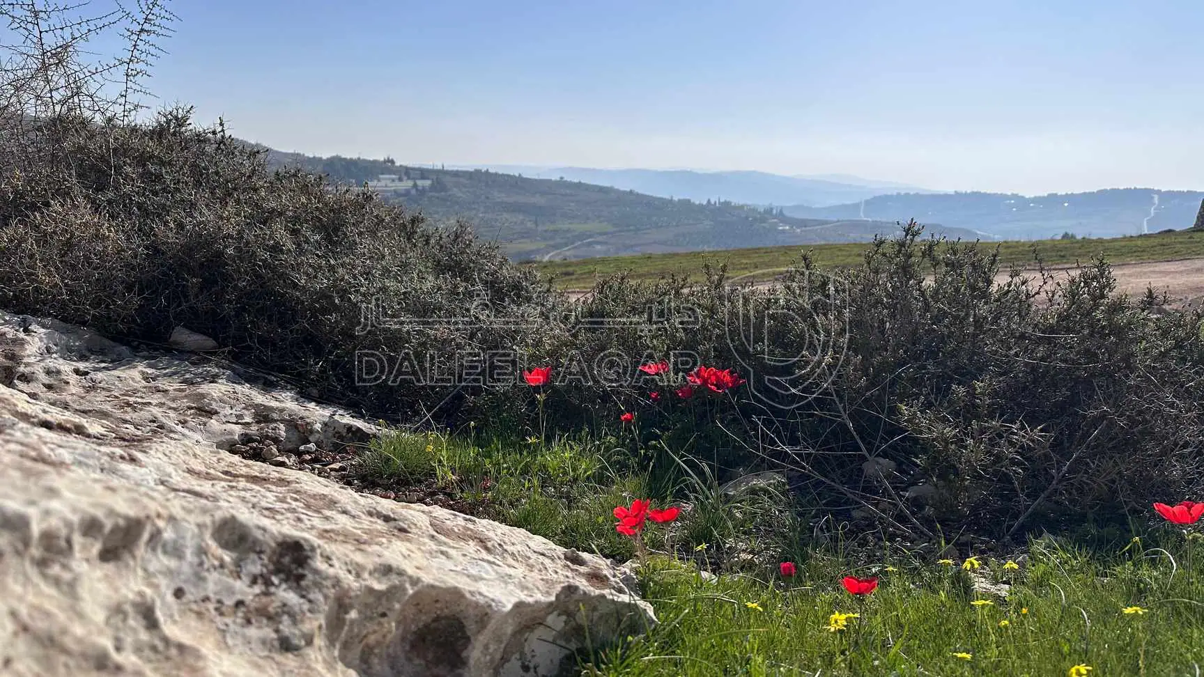 أرض في عمان - العال و الروضة  - 60,000 دأ - صورة 1